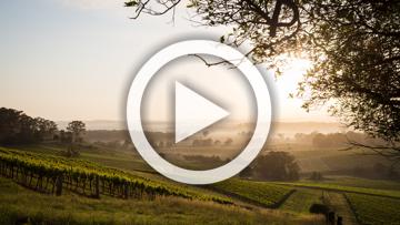 2024 Hyundai Palisade Calligraphy Black Ink Auto AWD MY24